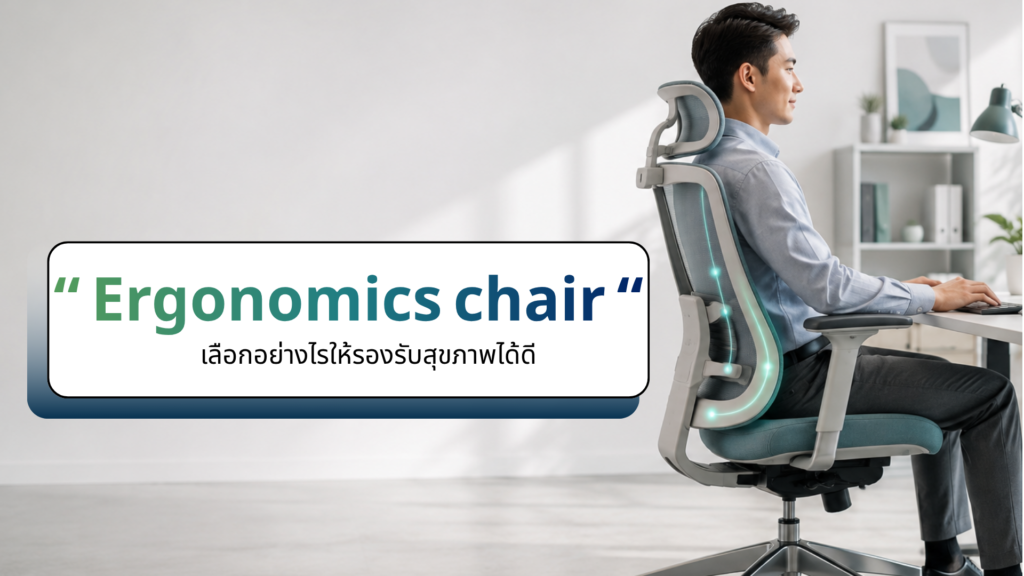 เลือก Ergonomic Chair