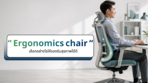 เลือก Ergonomic Chair