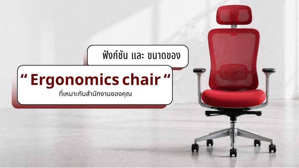 ฟังก์ชัน Ergonomic Chair