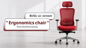 ฟังก์ชัน Ergonomic Chair