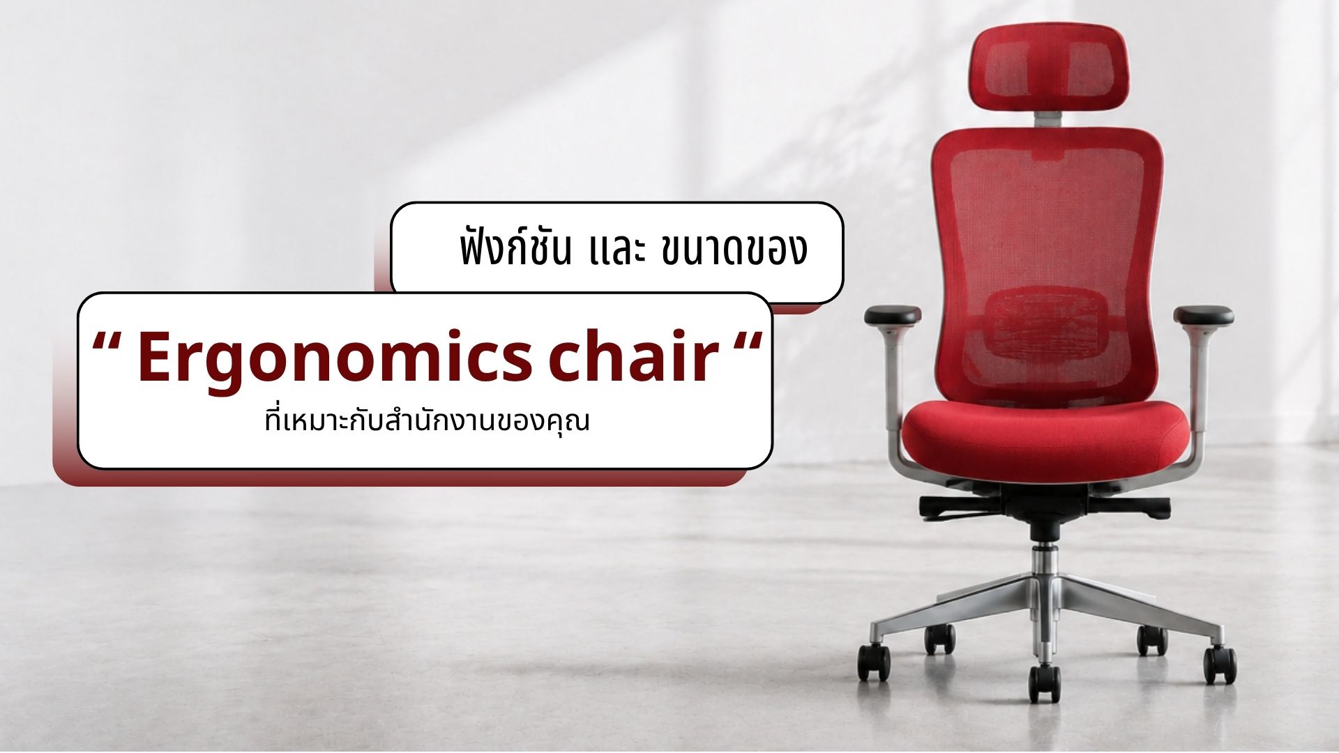 ฟังก์ชัน Ergonomic Chair
