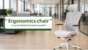 แบรนด์ Ergonomic Chair