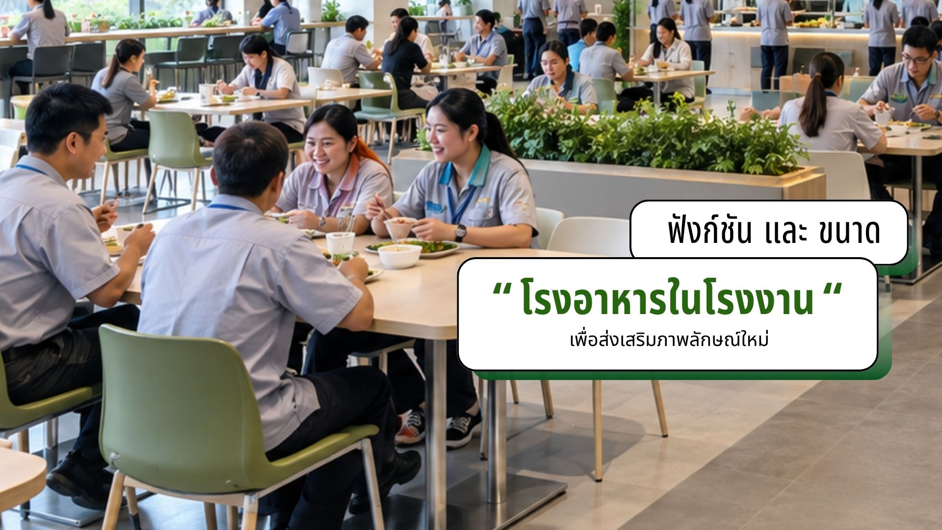 ฟังก์ชันและขนาด โรงอาหารในโรงงาน