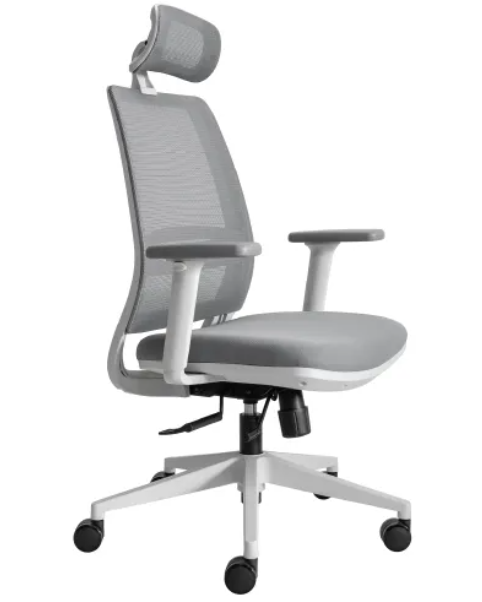 Practika Ergonomic Chair